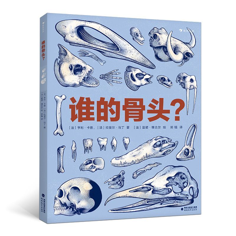 谁的骨头(精)
