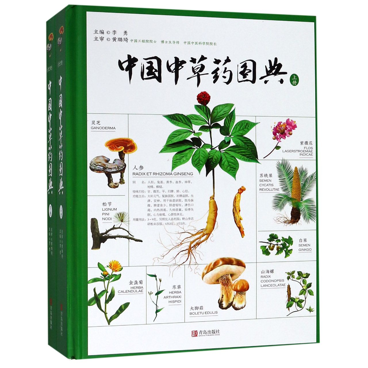中国中草药图典(上下)(精)