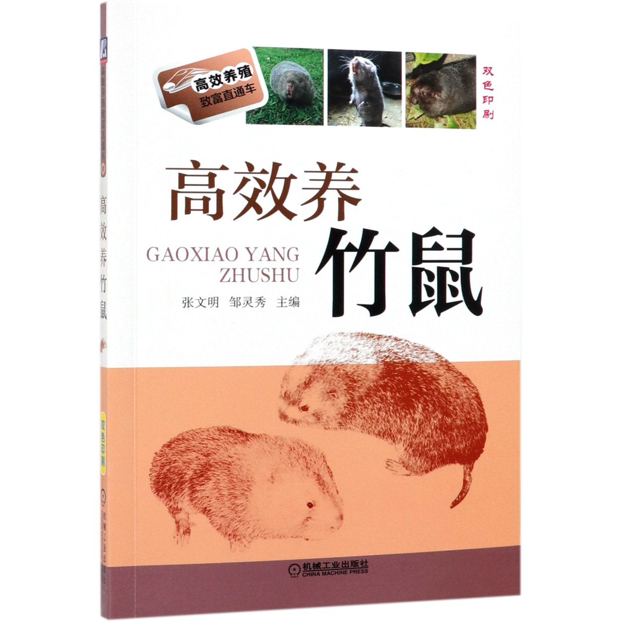 高效养竹鼠(双色印刷)/高效养殖致富直通车