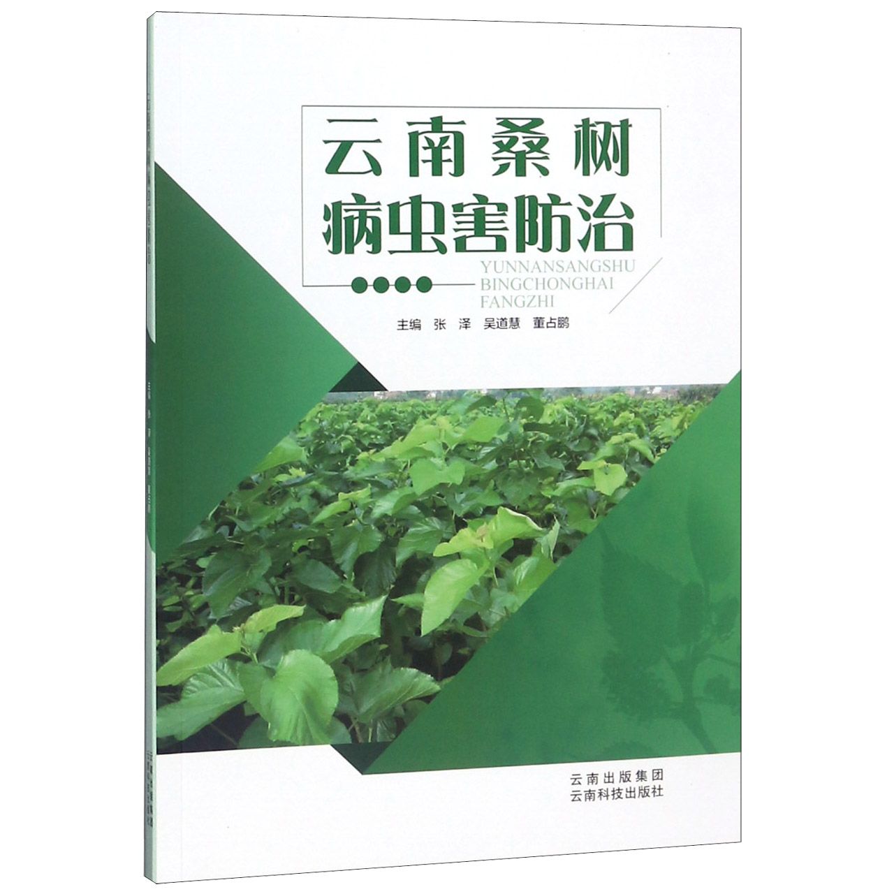 云南桑树病虫害防治