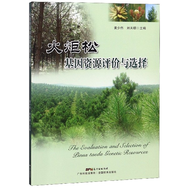 火炬松基因资源评价与选择