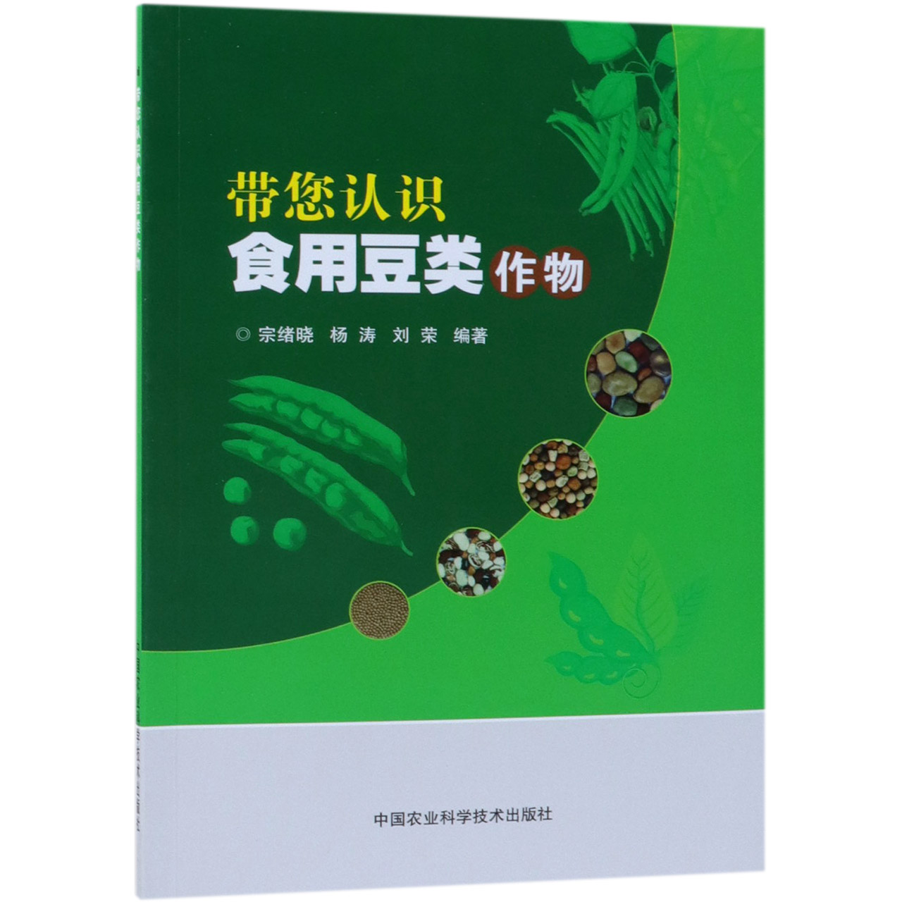 带您认识食用豆类作物