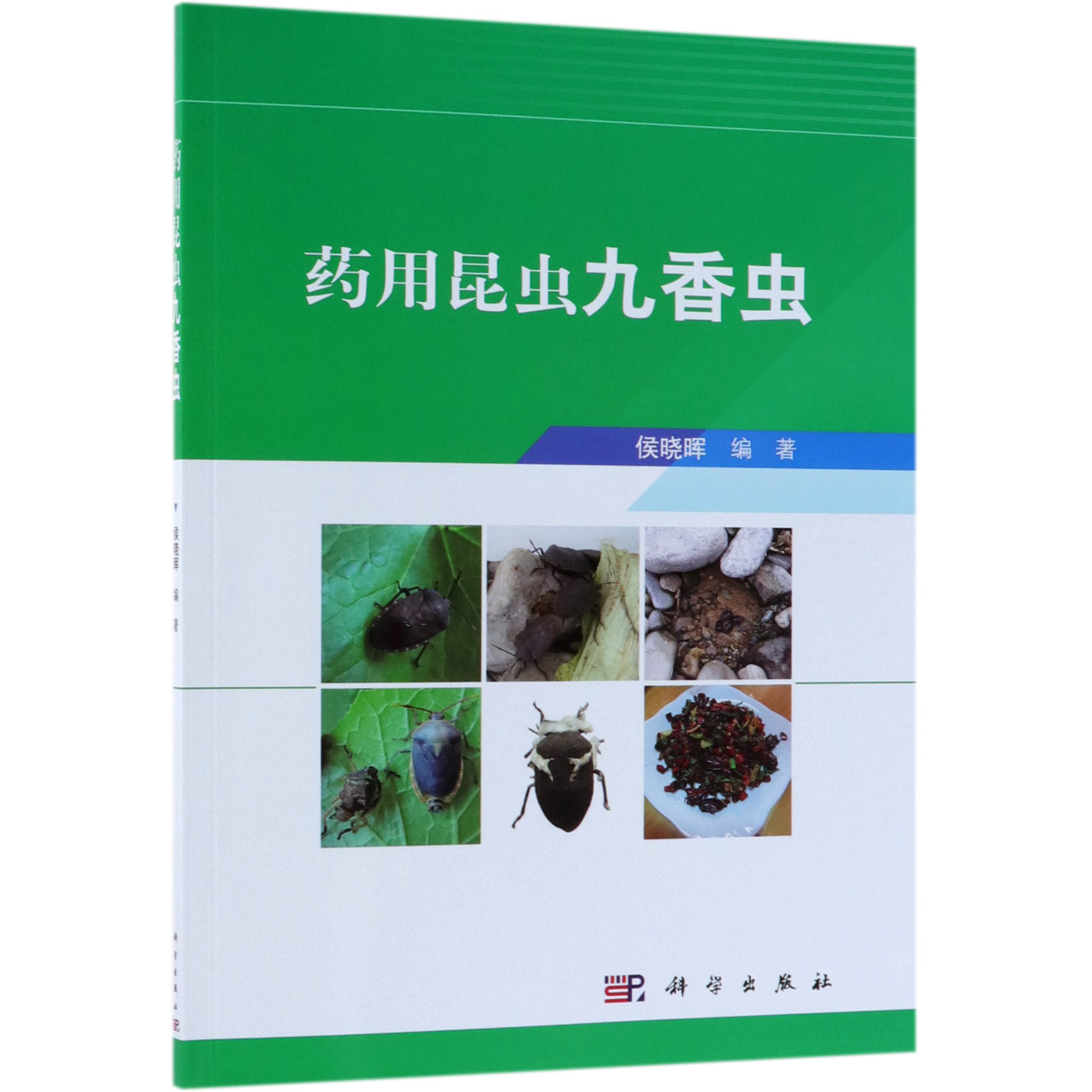 药用昆虫九香虫
