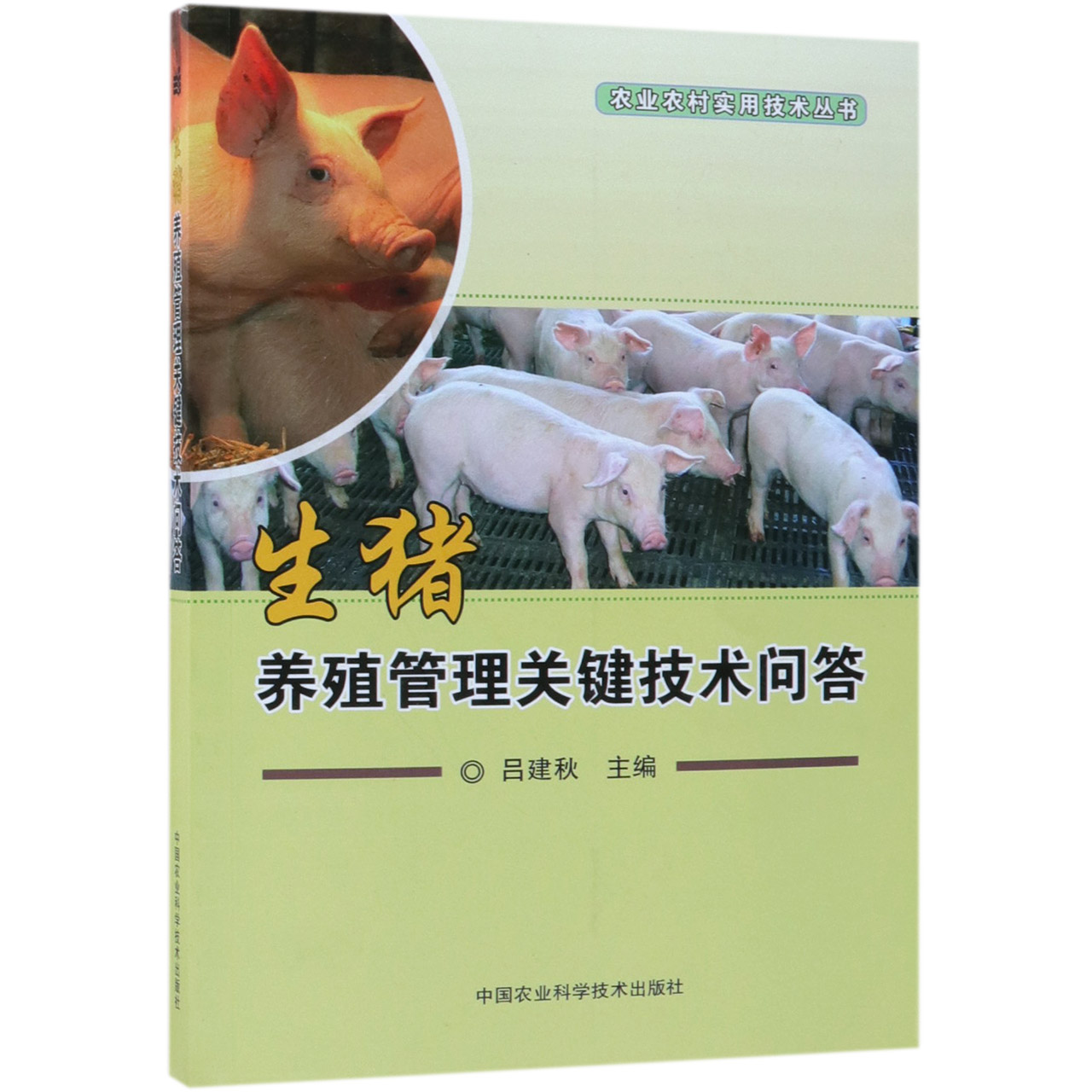 生猪养殖管理关键技术问答/农业农村实用技术丛书