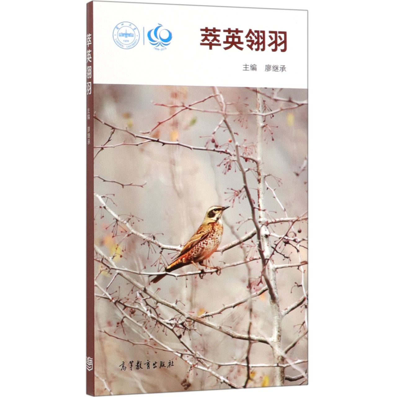 萃英翎羽
