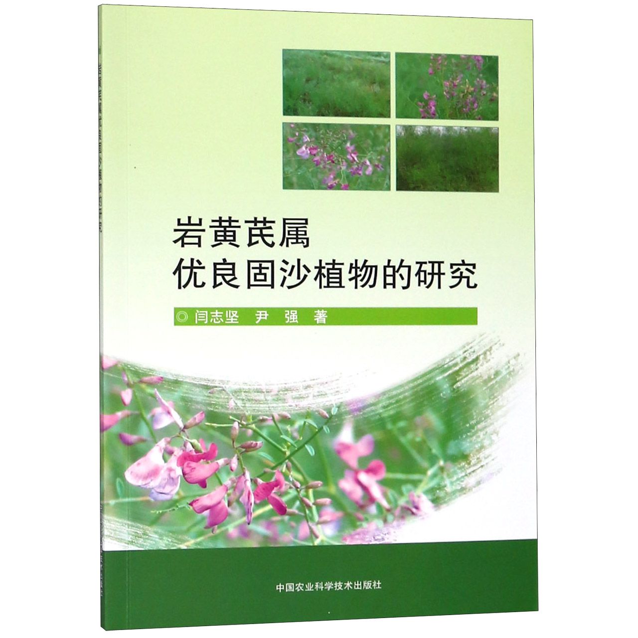 岩黄芪属优良固沙植物的研究