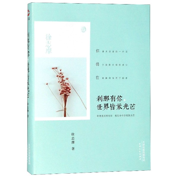 刹那有你世界皆示光芒(精)