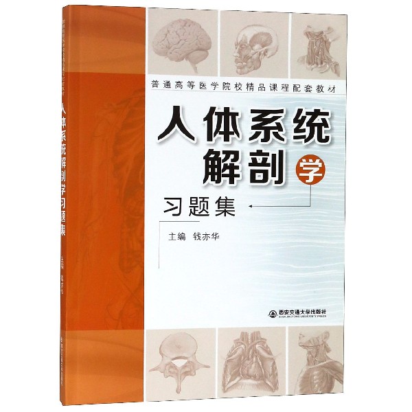 人体系统解剖学习题集(普通高等医学院校精品课程配套教材)