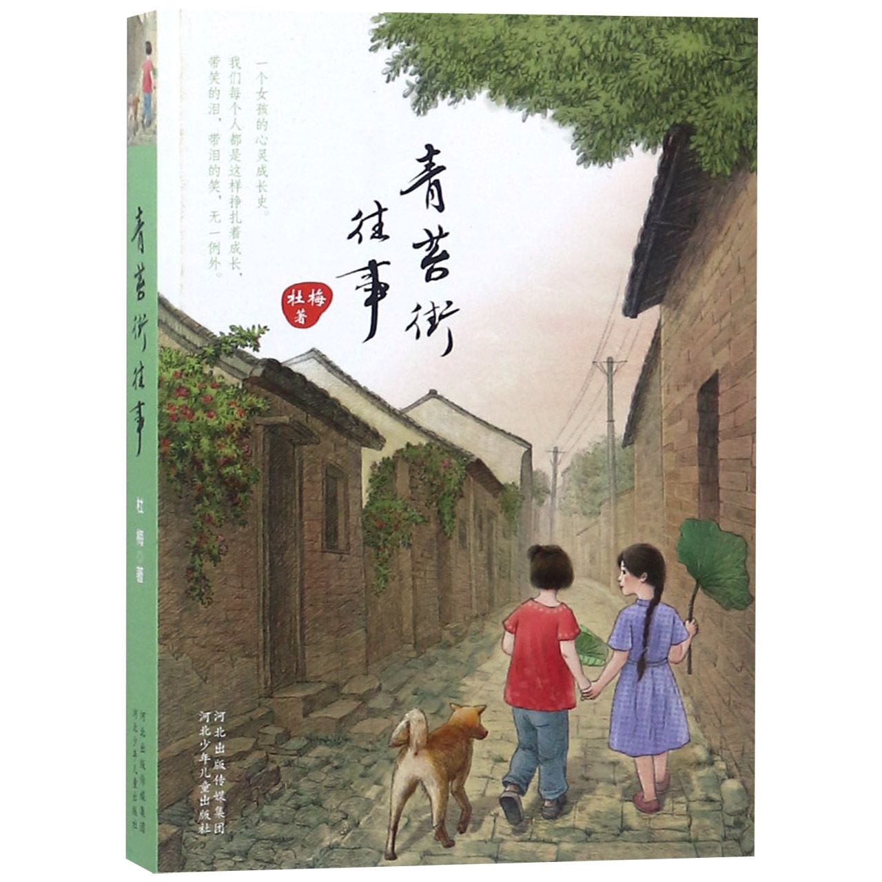 青苔街往事