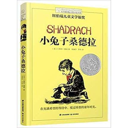 小兔子桑德拉/长青藤国际大奖小说书系