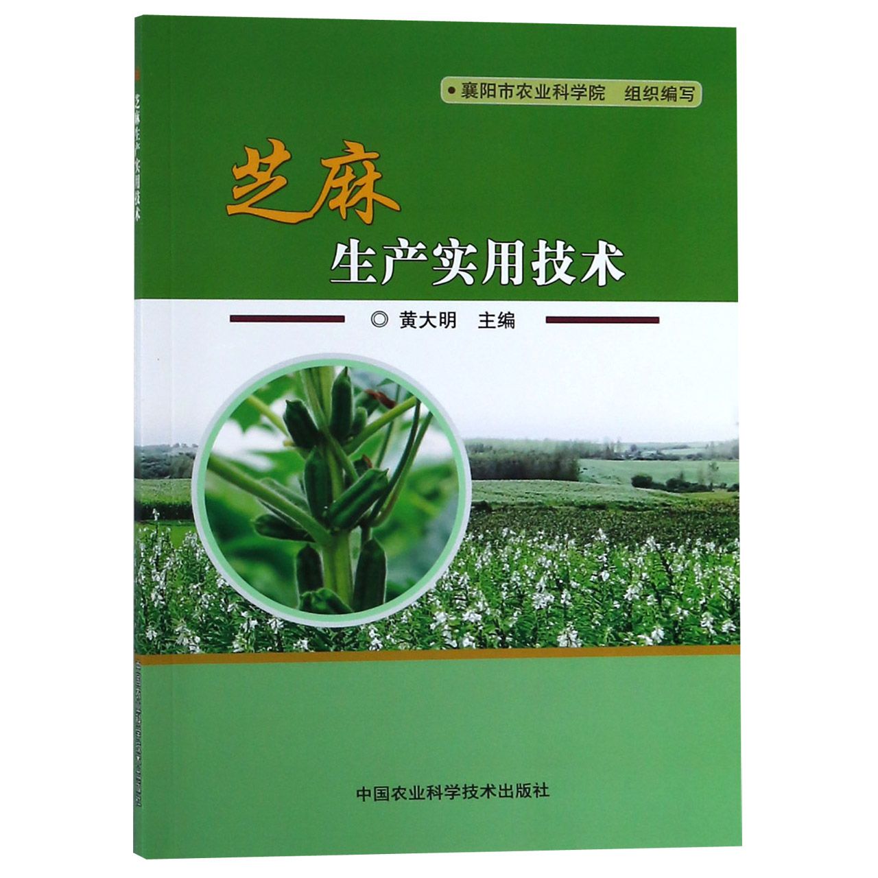 芝麻生产实用技术