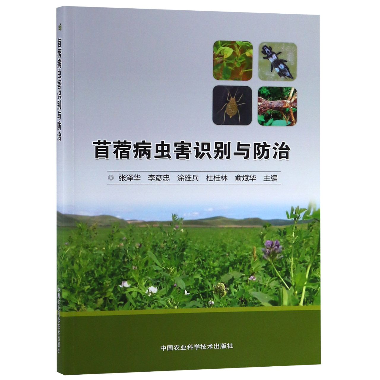 苜蓿病虫害识别与防治