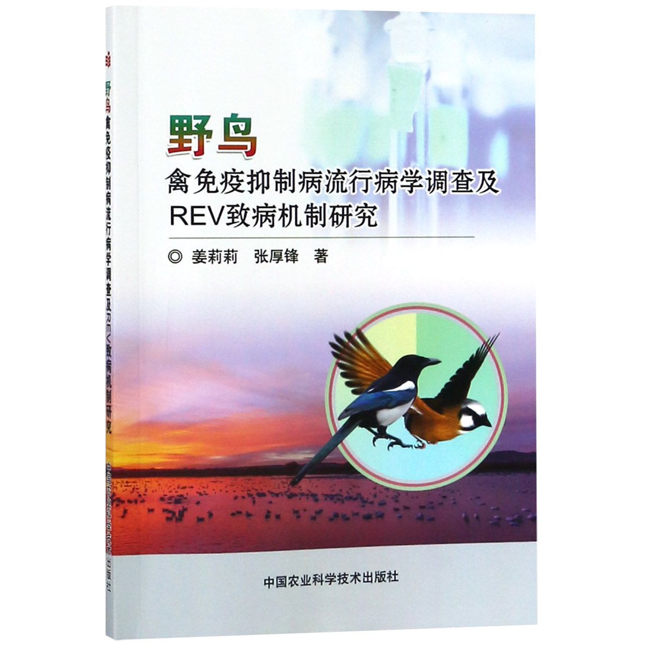野鸟禽免疫抑制病流行病学调查及REV致病机制研究