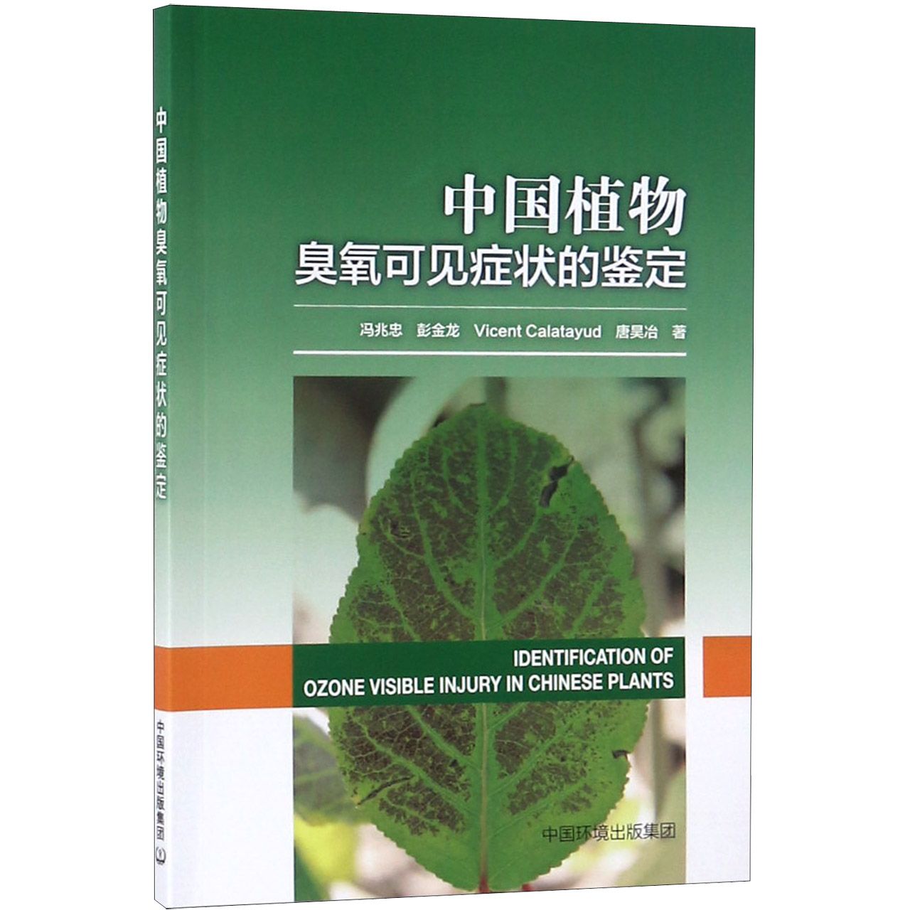中国植物臭氧可见症状的鉴定