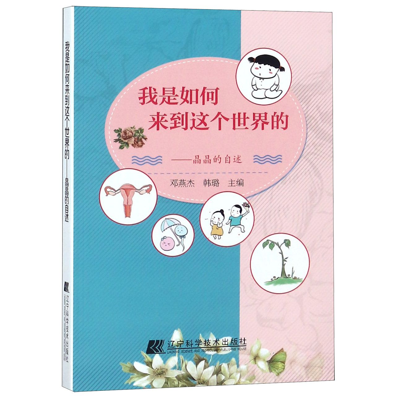 我是如何来到这个世界的--晶晶的自述