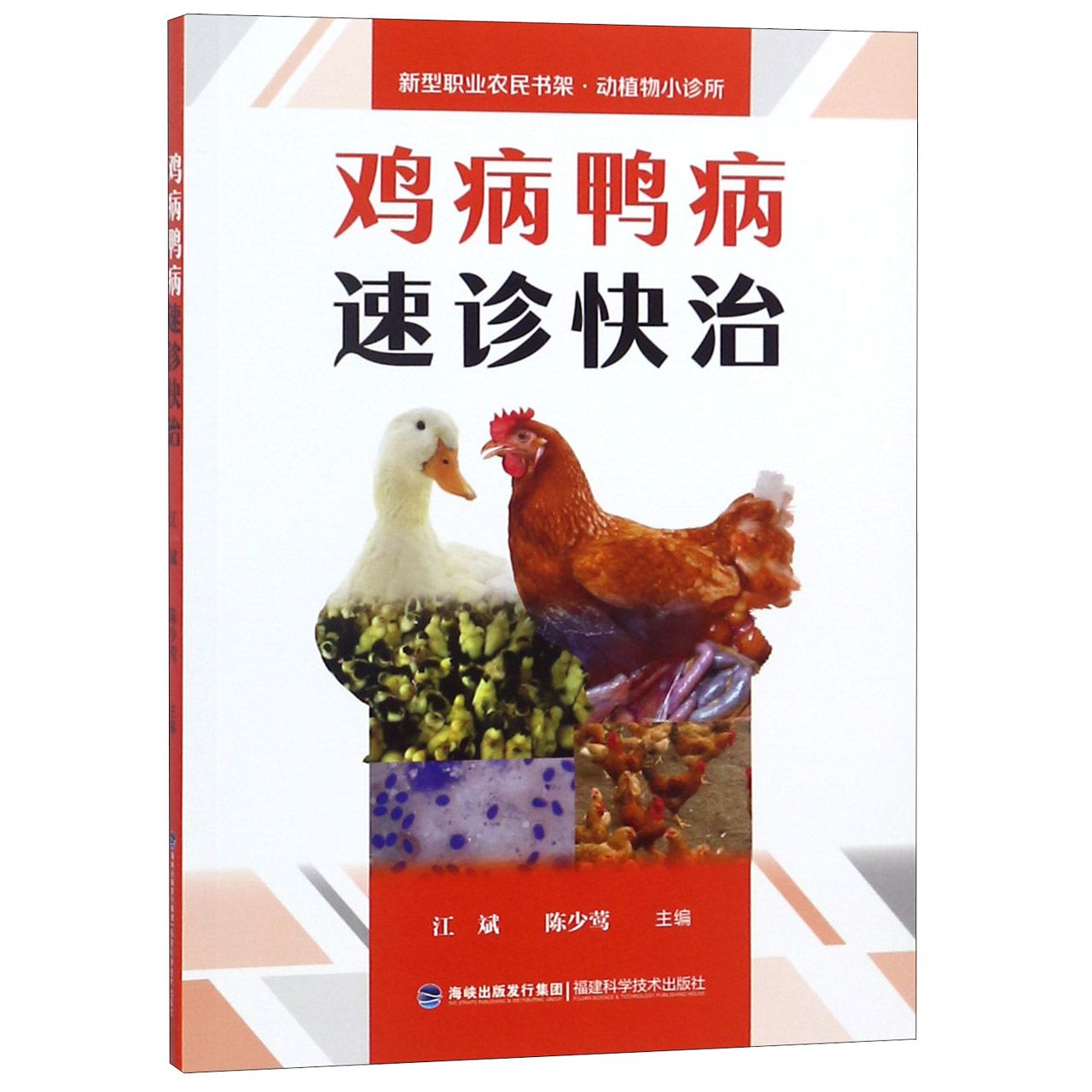 鸡病鸭病速诊快治/新型职业农民书架动植物小诊所