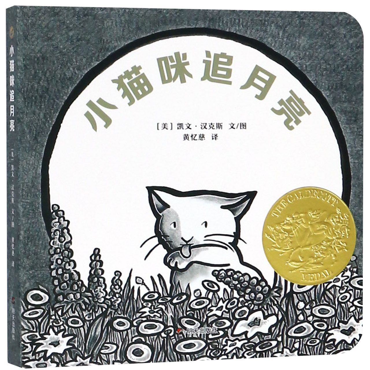 小猫咪追月亮
