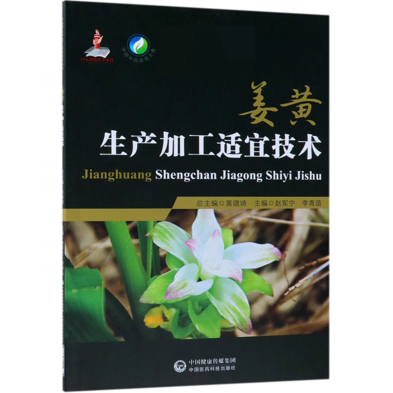 姜黄生产加工适宜技术