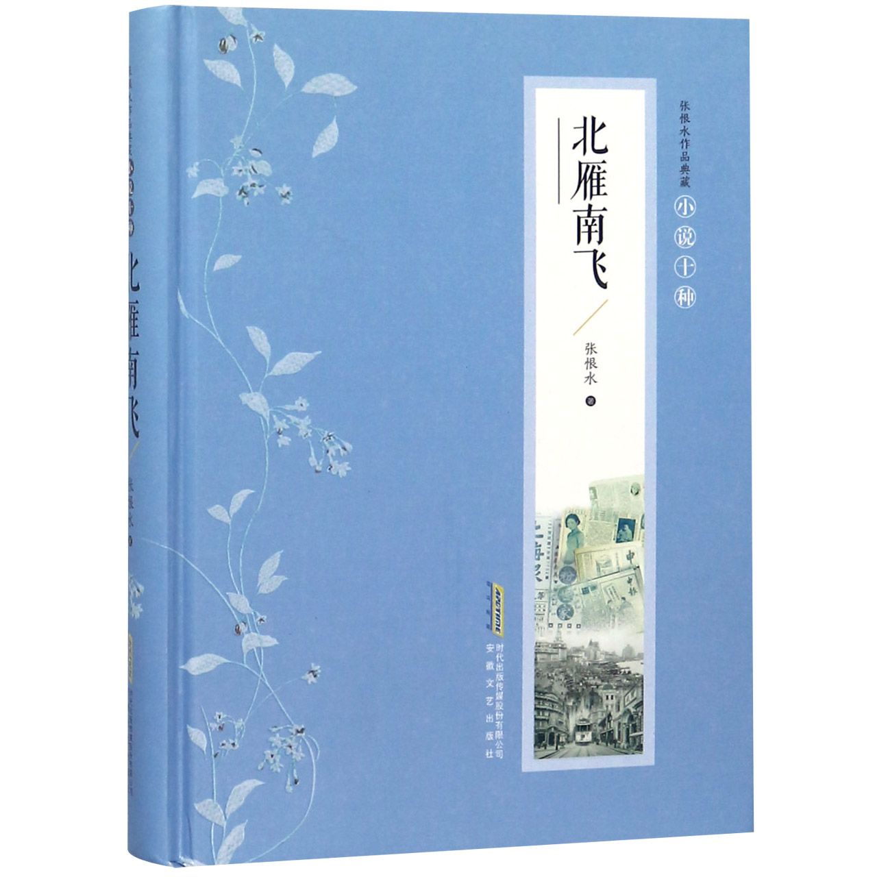 北雁南飞(精)/张恨水作品典藏