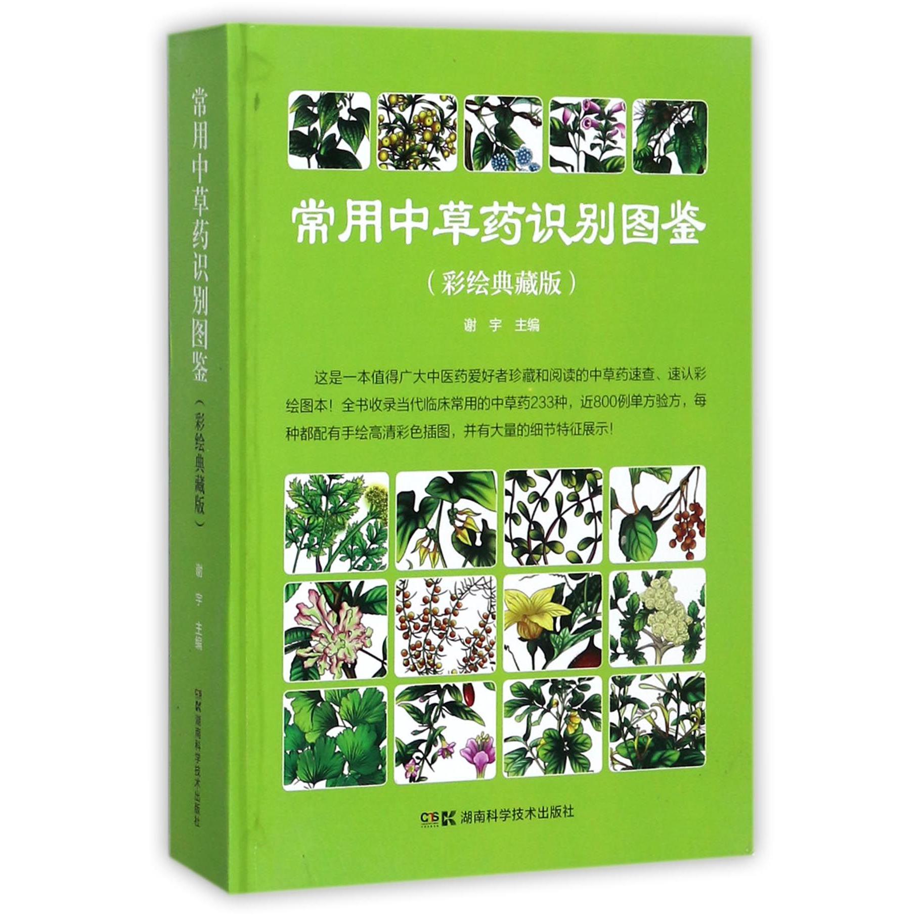 常用中草药识别图鉴(彩绘典藏版)(精)