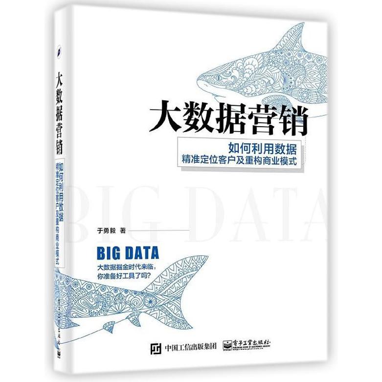 大数据营销(如何利用数据精准定位客户及重构商业模式)