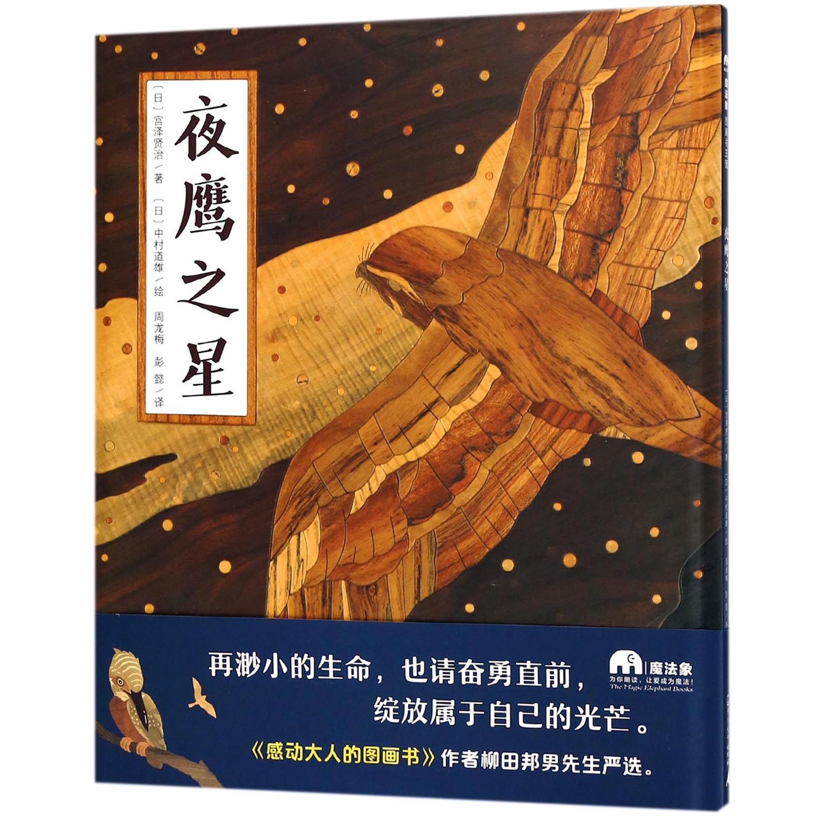 夜鹰之星(精)