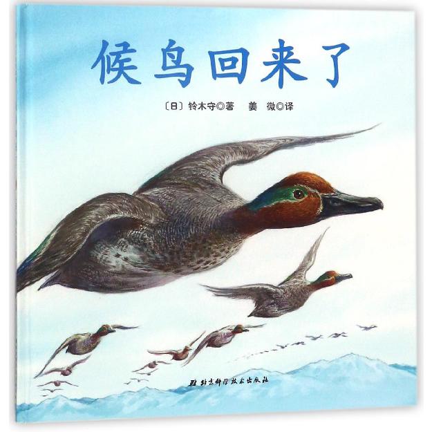候鸟回来了(精)