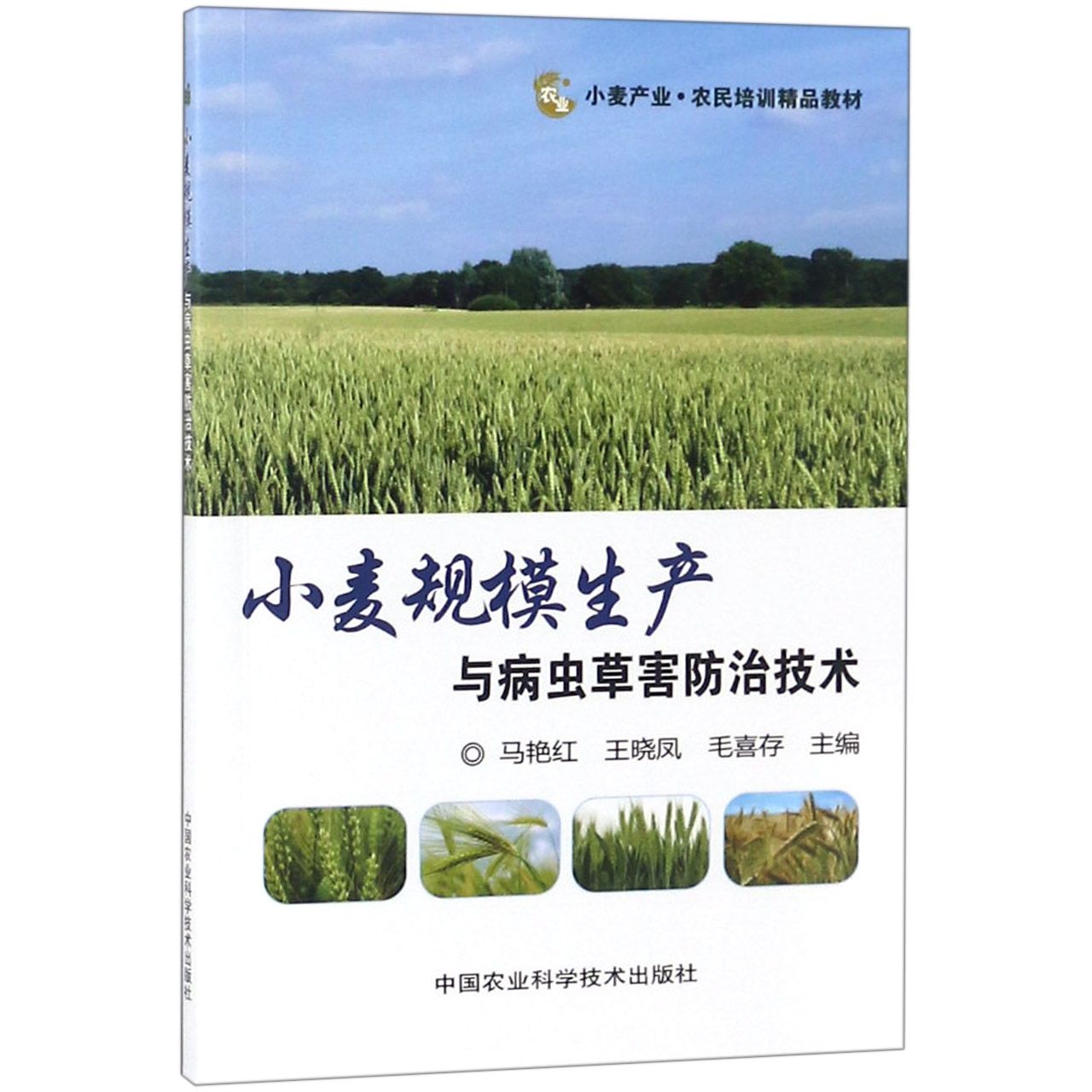 小麦规模生产与病虫草害防治技术(小麦产业农民培训精品教材)