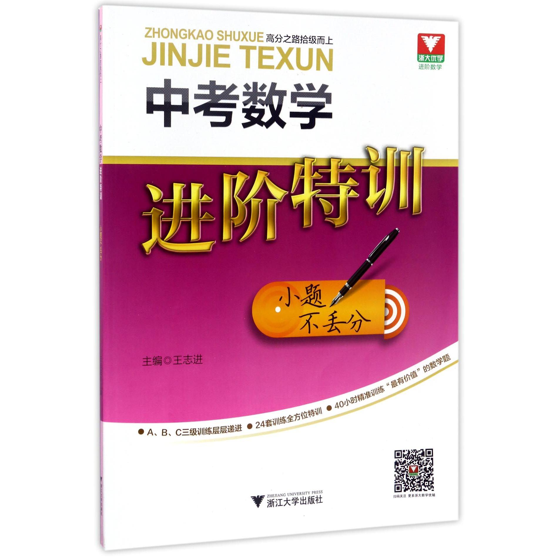 中考数学进阶特训(小题不丢分)