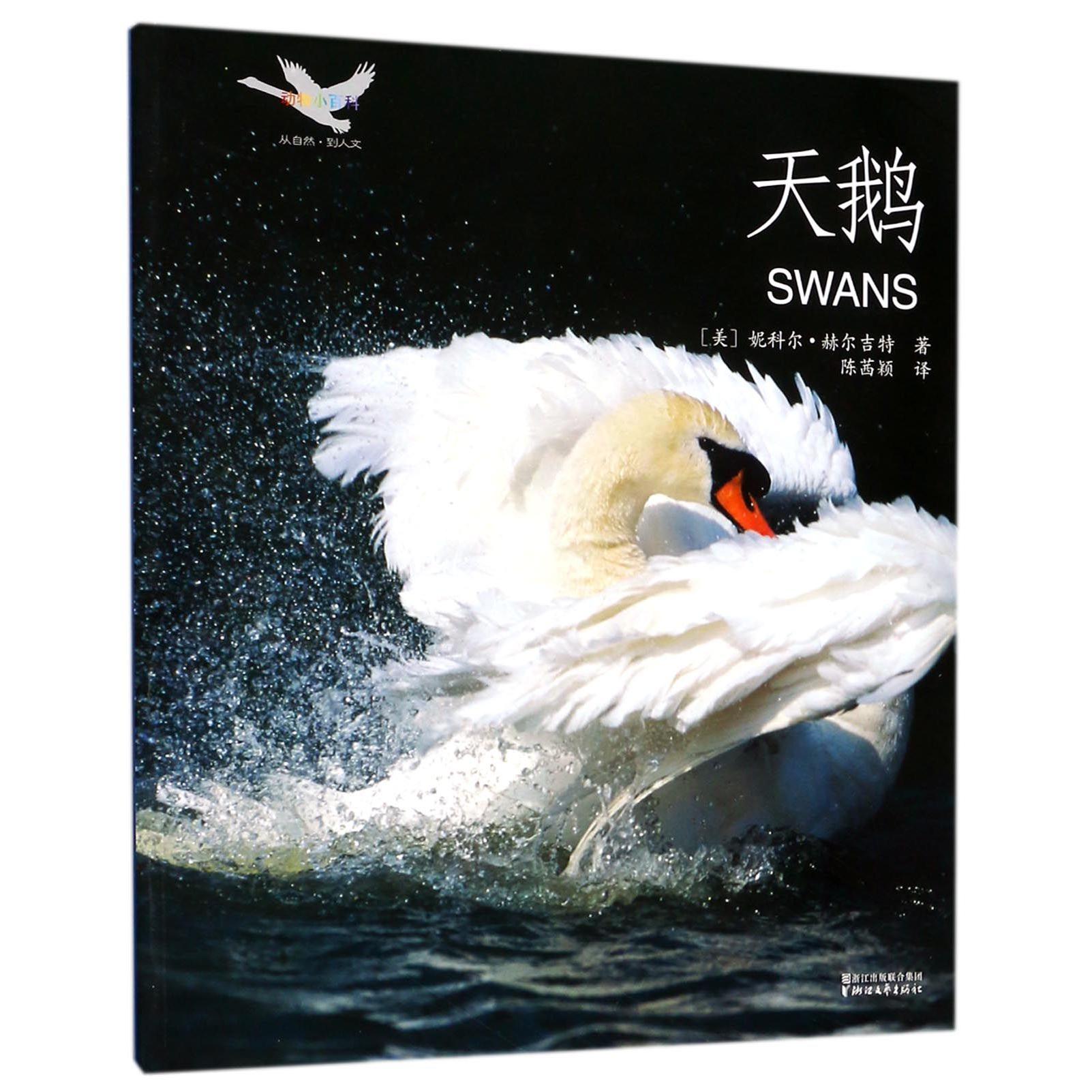 天鹅/动物小百科