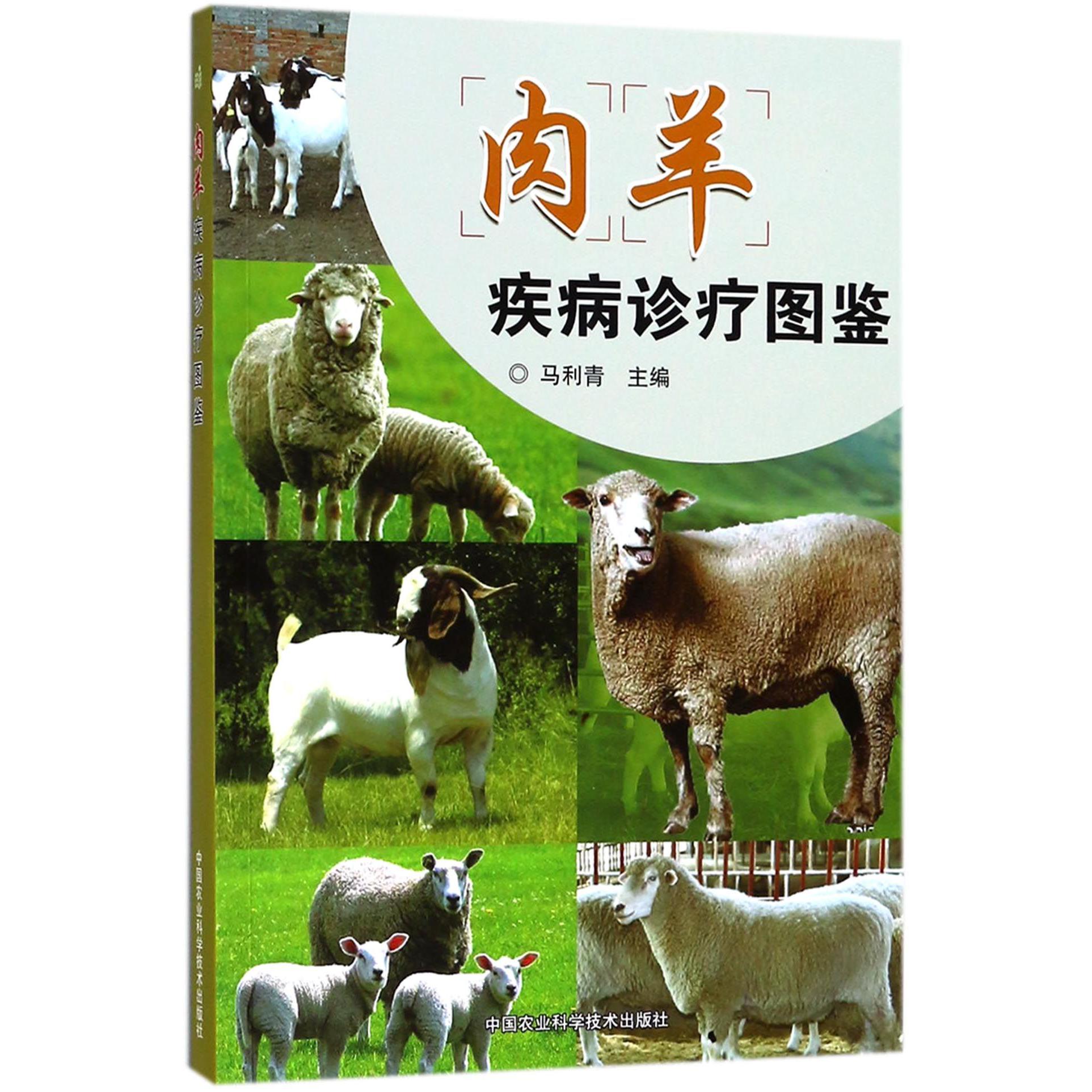 肉羊疾病诊疗图鉴