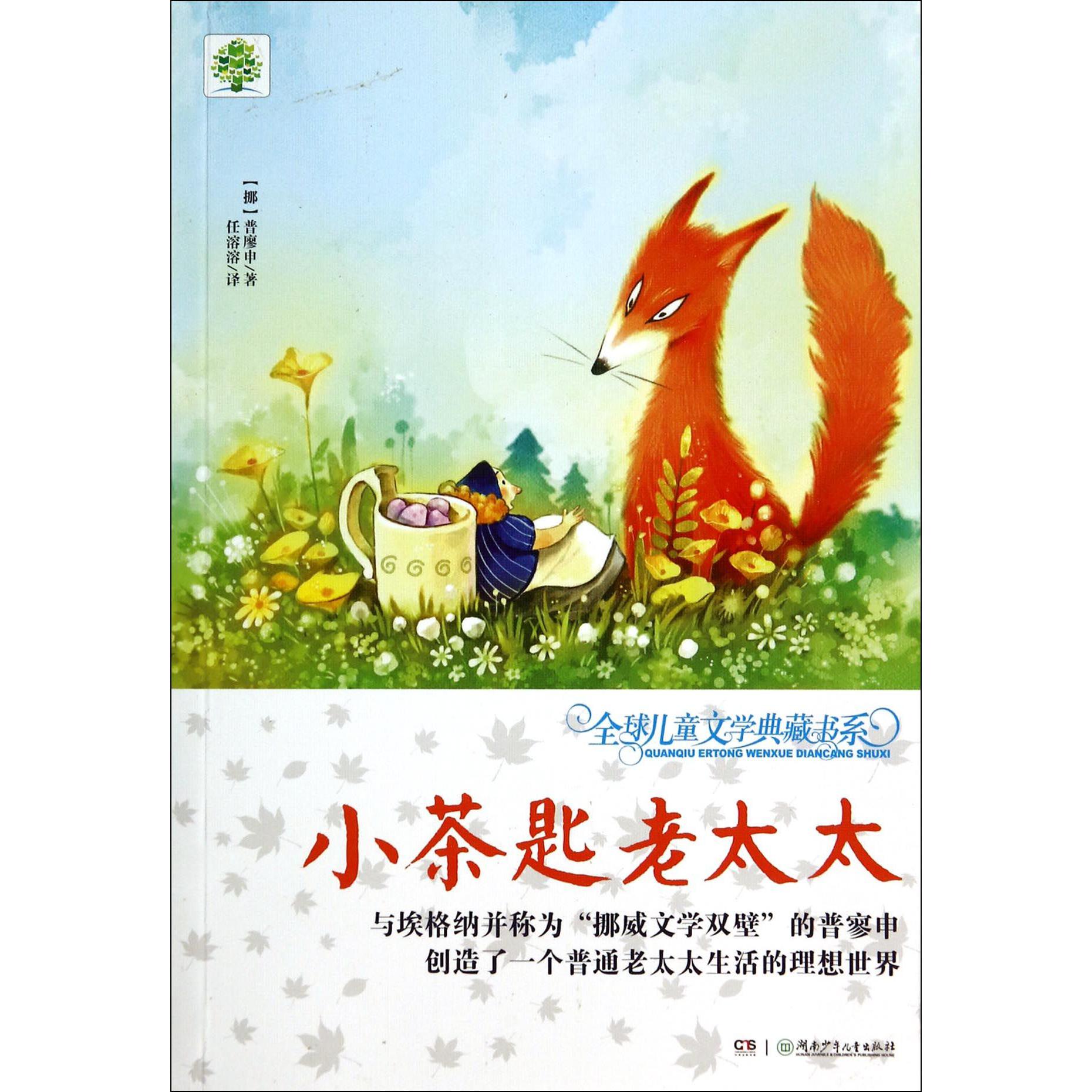 小茶匙老太太/全球儿童文学典藏书系