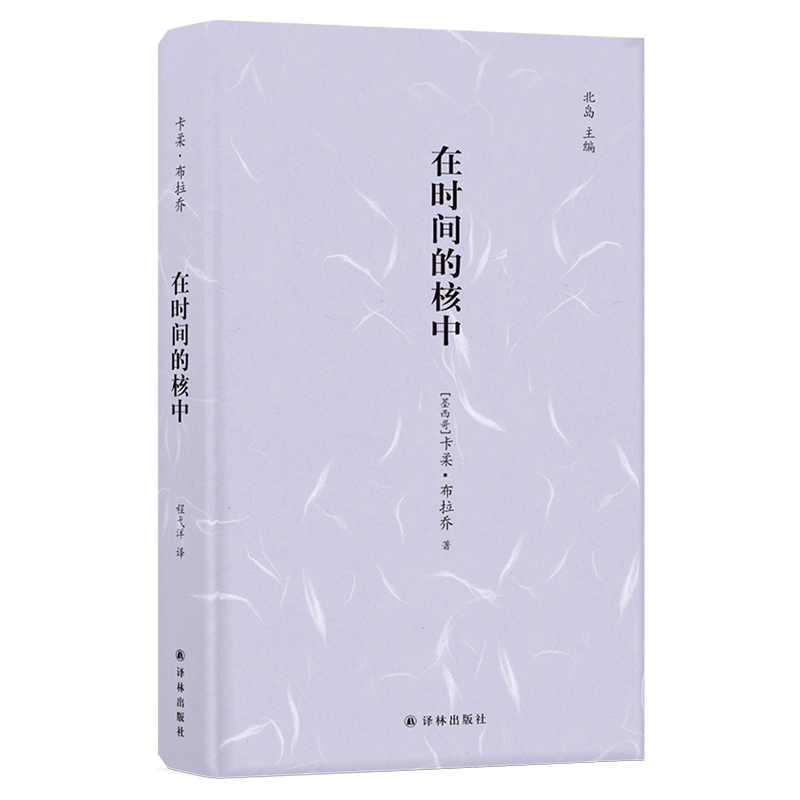 镜中丛书:在时间的核中