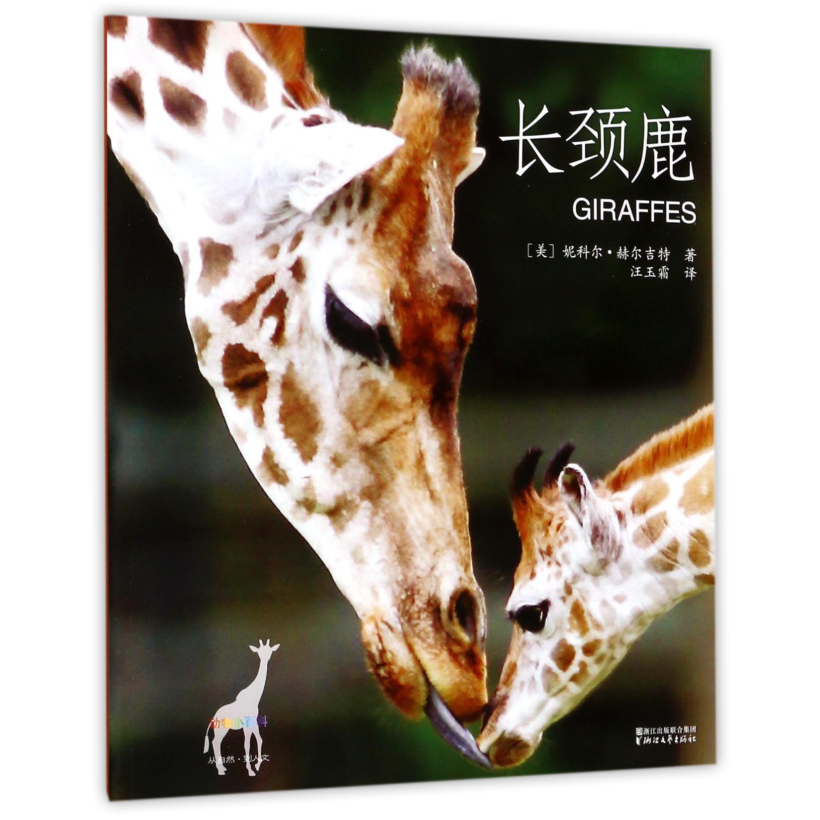 长颈鹿/动物小百科