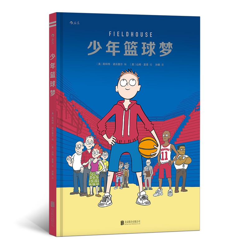 少年篮球梦