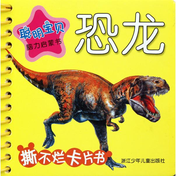 恐龙/聪明宝贝脑力启蒙书