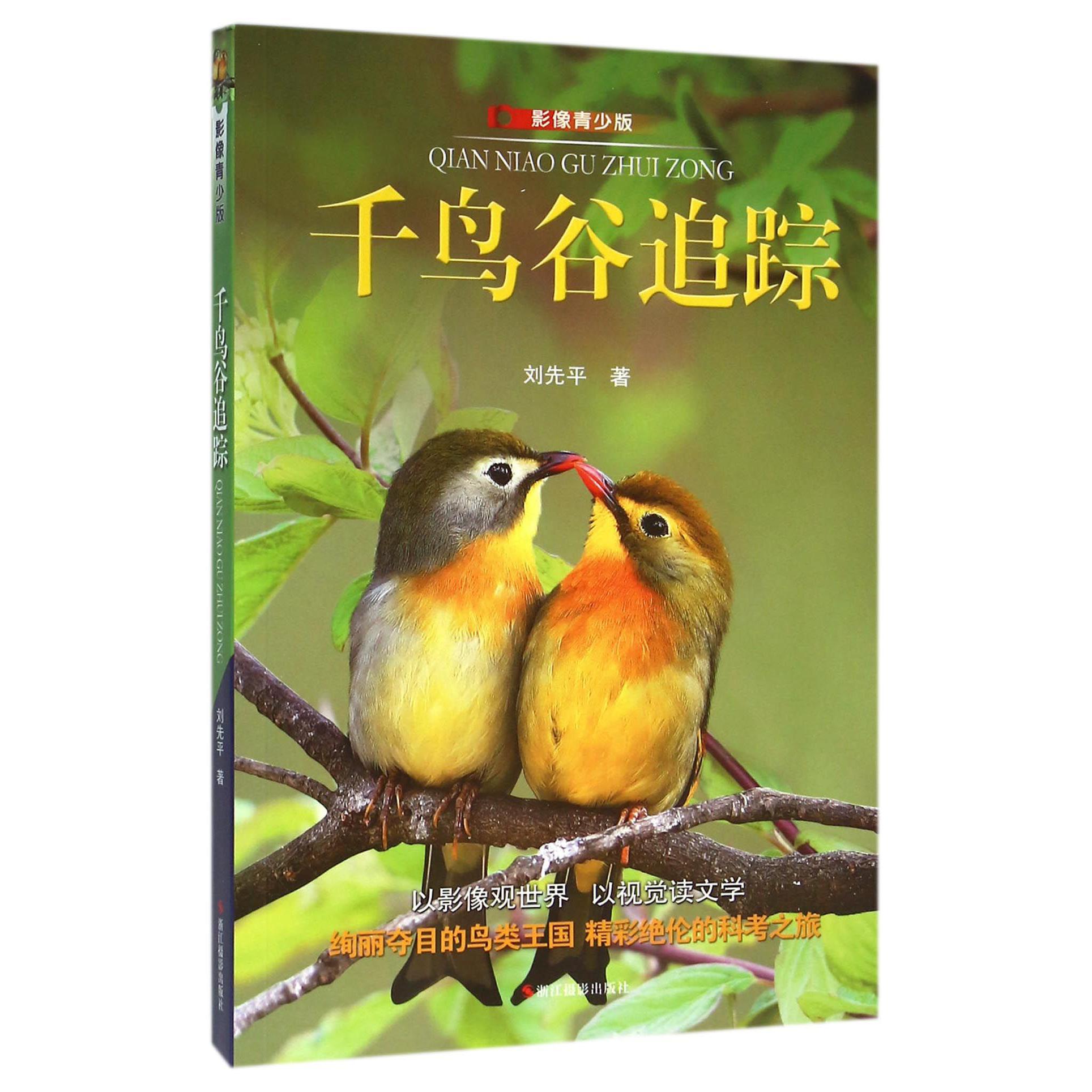 千鸟谷追踪(影像青少版)