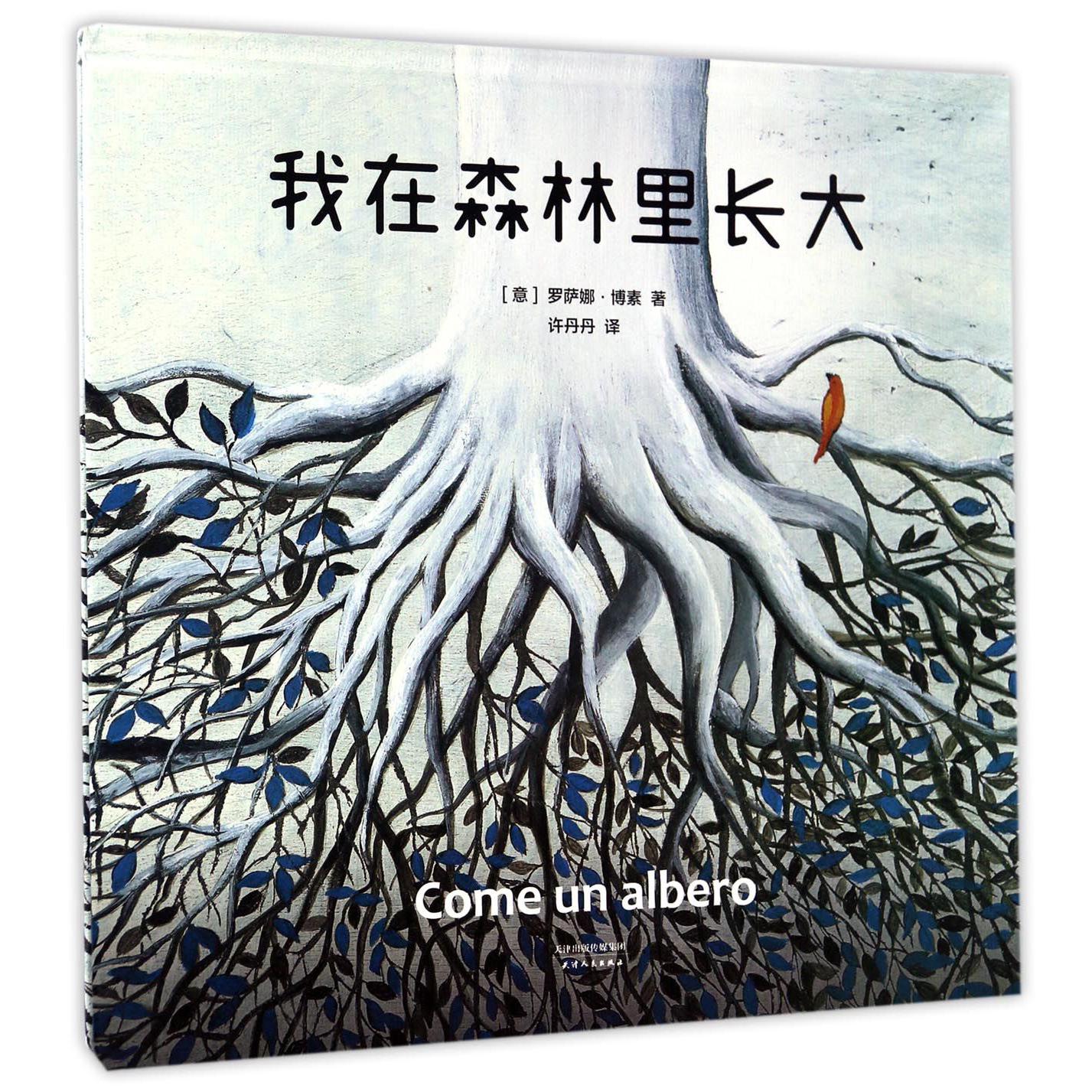 我在森林里长大(精)