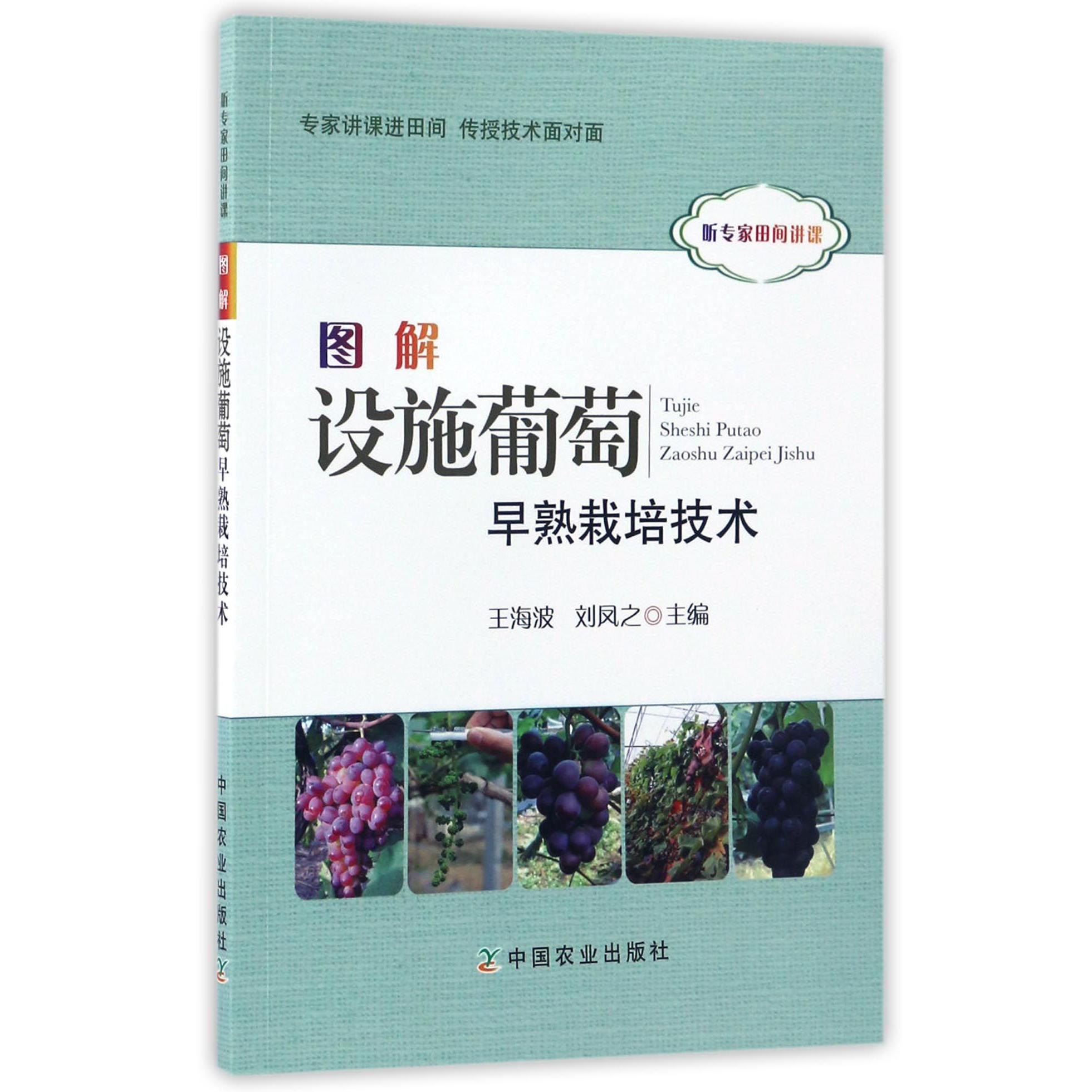 图解设施葡萄早熟栽培技术(听专家田间讲课)