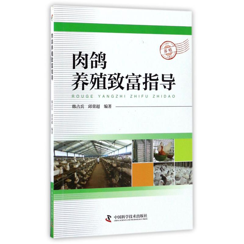 肉鸽养殖致富指导