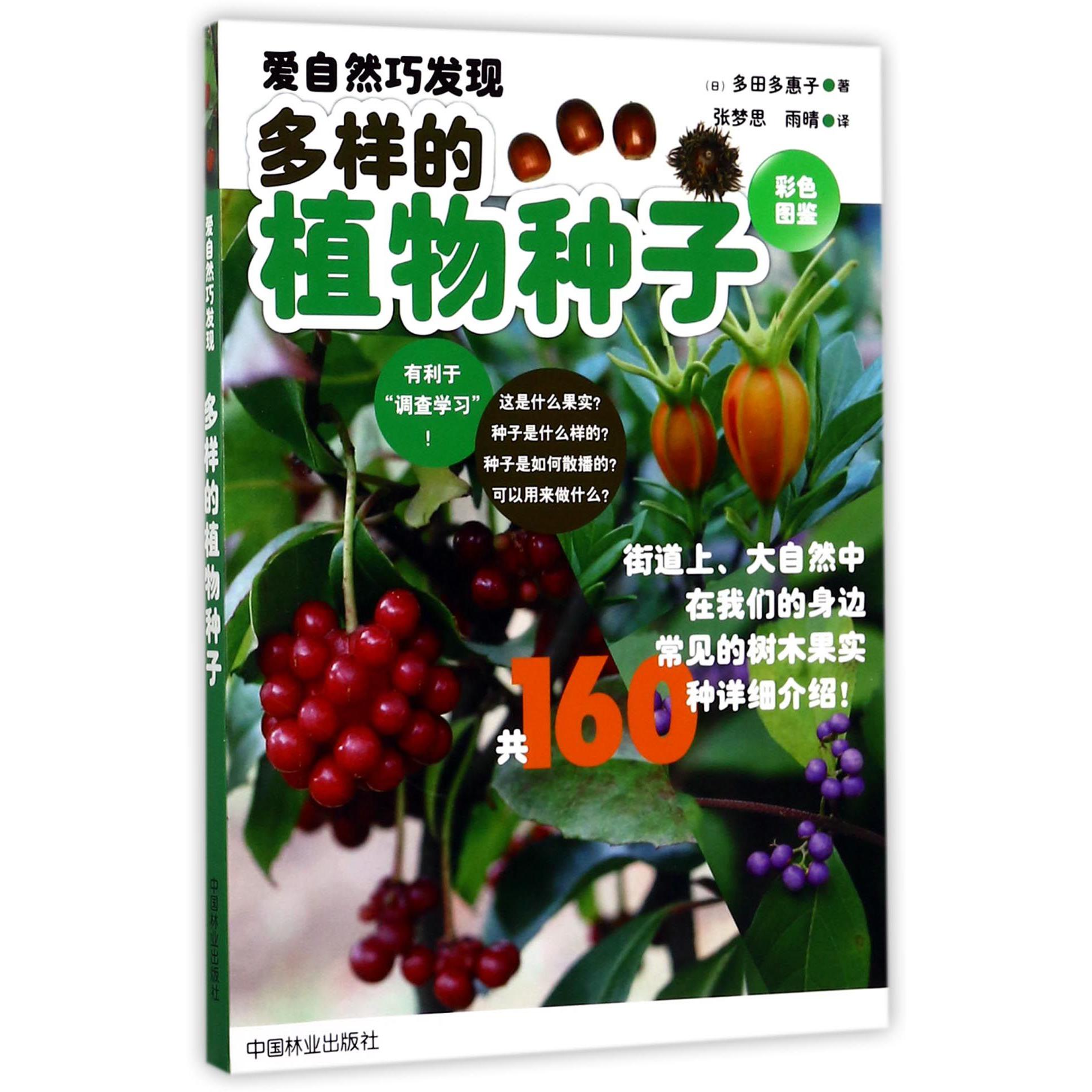 多样的植物种子(彩色图鉴)/爱自然巧发现