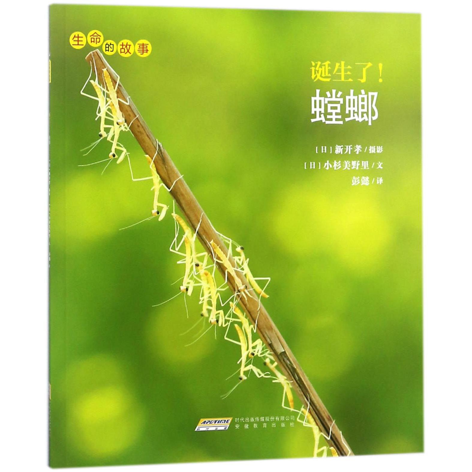 诞生了螳螂/生命的故事