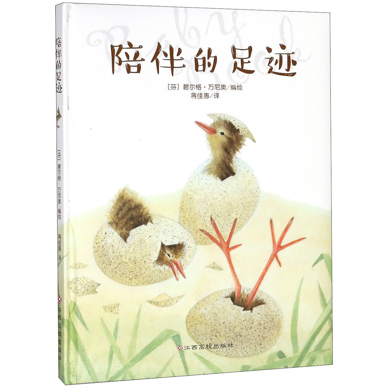 陪伴的足迹(精)