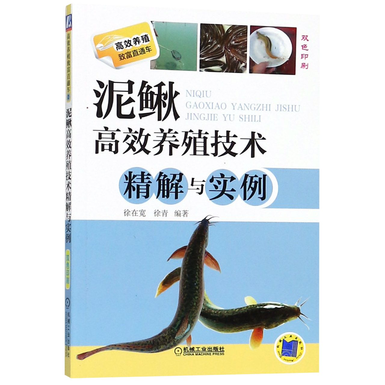 泥鳅高效养殖技术精解与实例(双色印刷)/高效养殖致富直通车