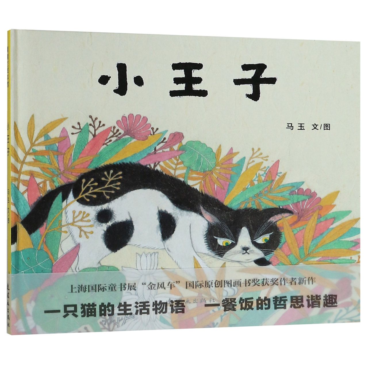 小王子(精)