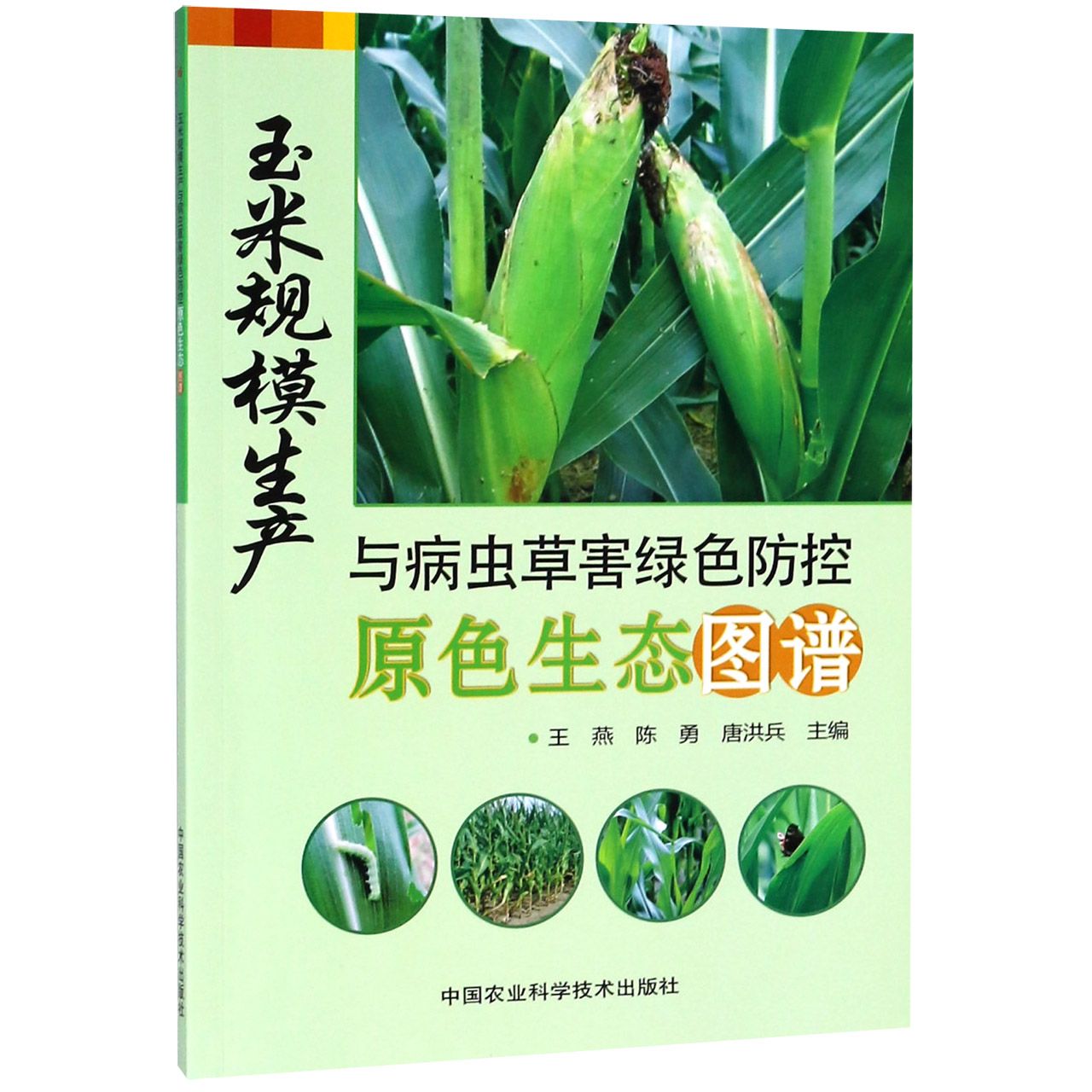 玉米规模生产与病虫草害绿色防控原色生态图谱