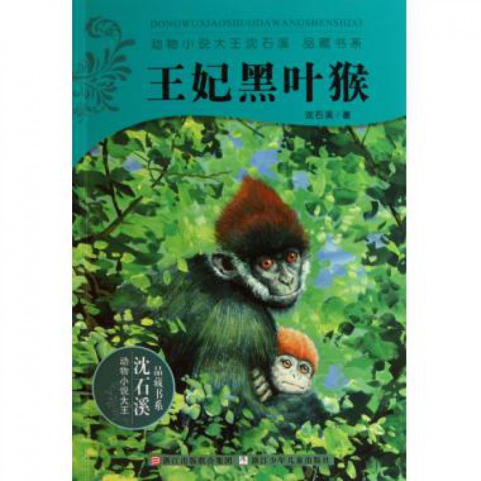 王妃黑叶猴/动物小说大王沈石溪品藏书系
