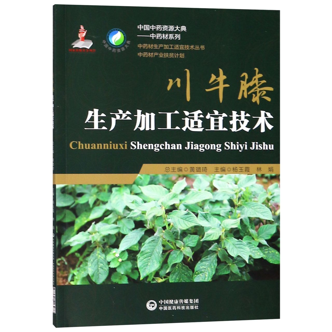 川牛膝生产加工适宜技术/中药材系列/中国中药资源大典