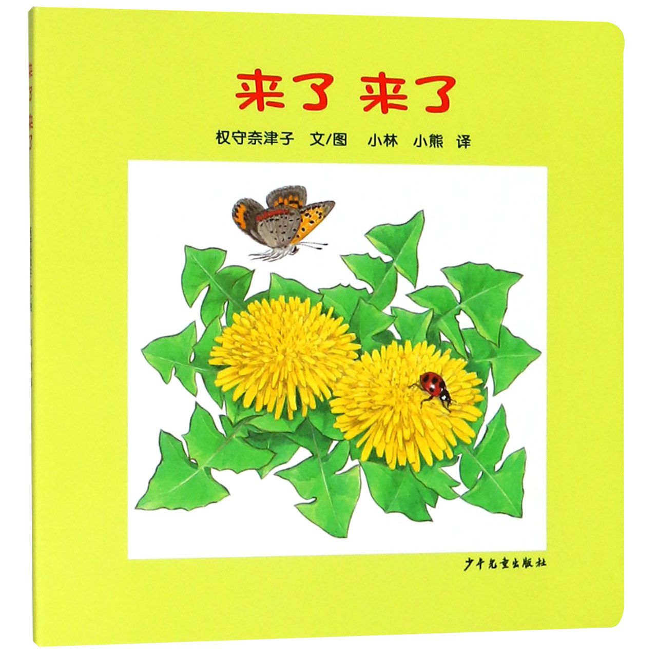 来了来了