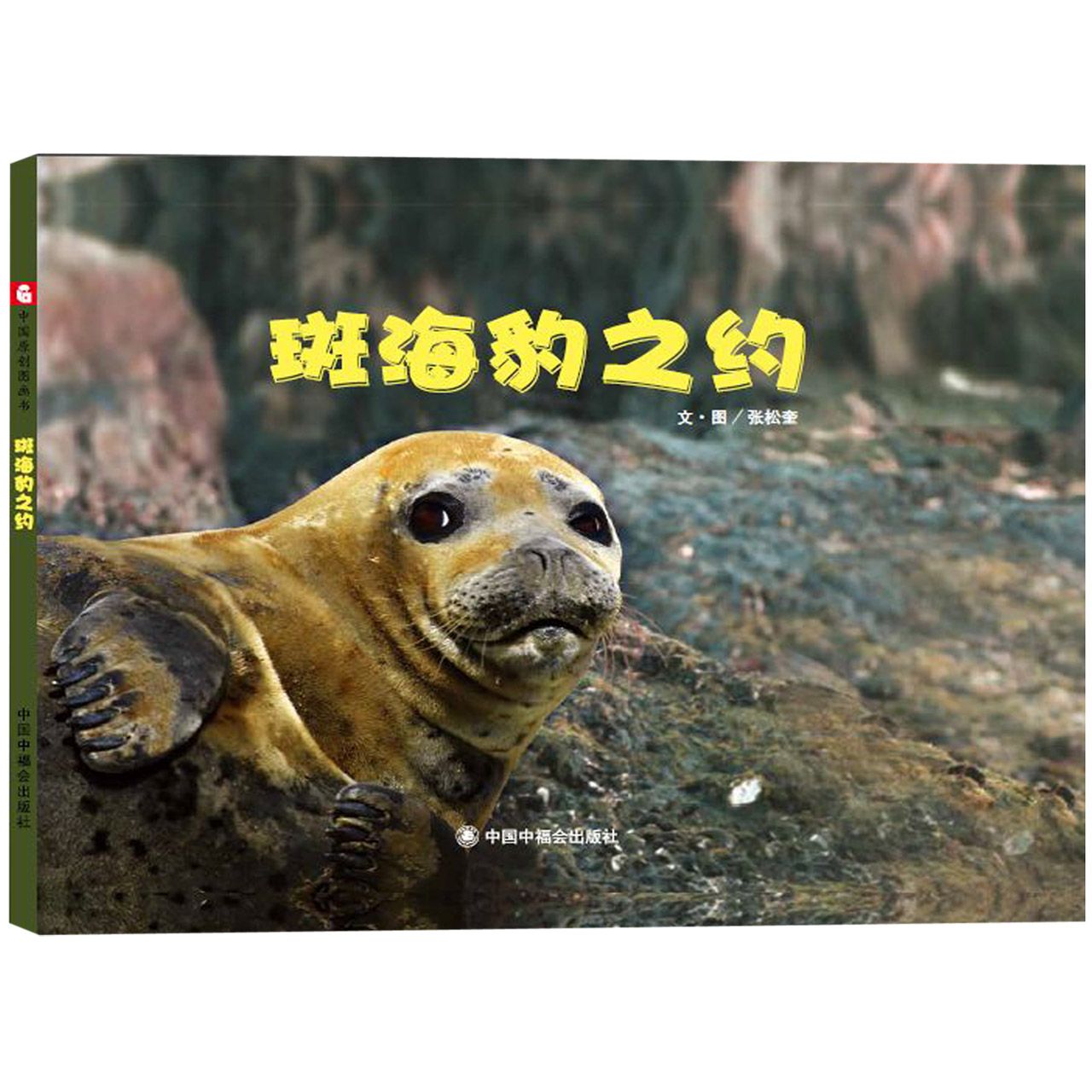 斑海豹之约(精)